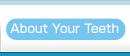 About Your Teeth